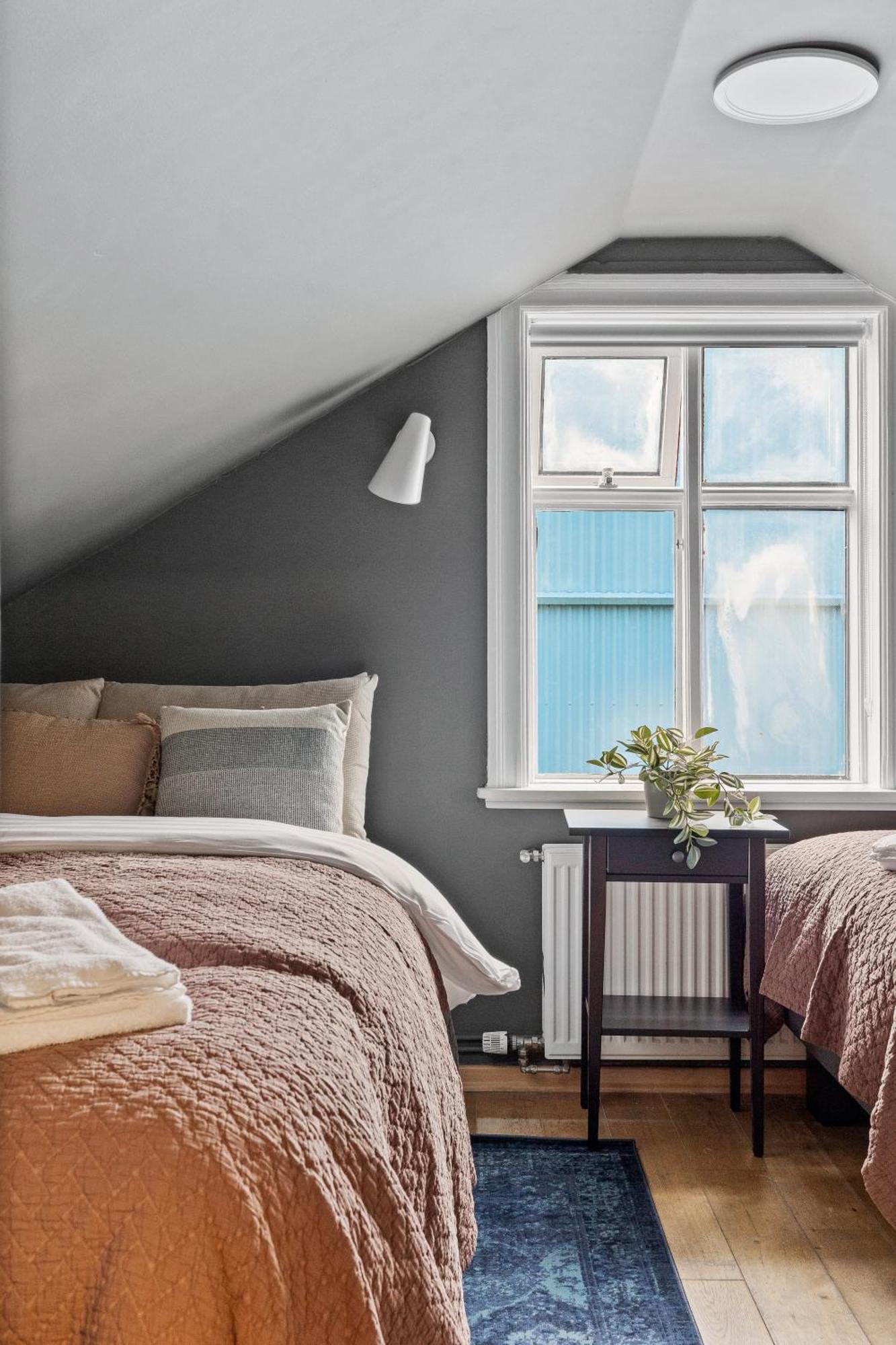 Massive Villa In Downtown Reykjavik With A Sauna 外观 照片